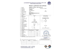 TIG-FM1-PA（ss，nb）---Liu Wenlong